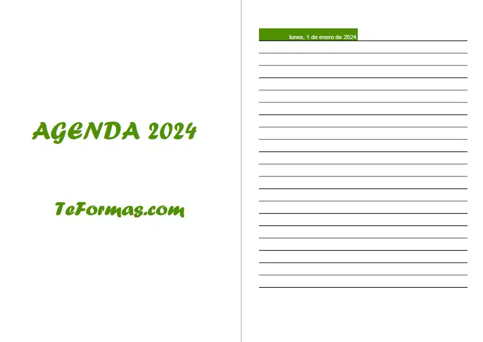 Hojas Agenda 2024 MANOA® DÍA PÁGINA con Stickers